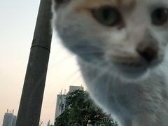 -云锦成公馆(北大街店)