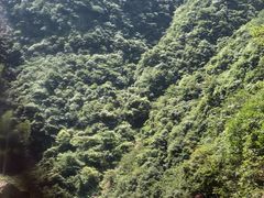 -安吉龙王山峡谷漂流