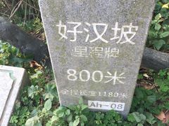 -梧桐山风景名胜区