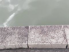 -上海月湖雕塑公园