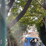 刷公园 南海子