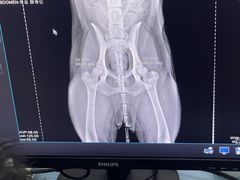 -福懋动物医院·犬猫全科·外科·重症科(杏林分院)