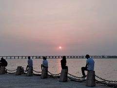 -宝安西湾红树林湿地公园