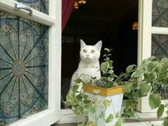 -长颈鹿咖啡(大学路店)