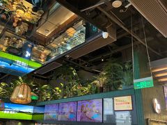 -大头椰·椰子鸡火锅(南宁万象城店)