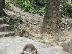 -黔灵山公园