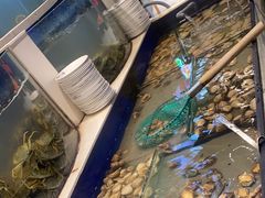 -海天盛宴新派海鲜自助餐厅(群力店)