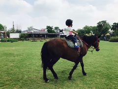 -田园东方蜜桃村的田野营地