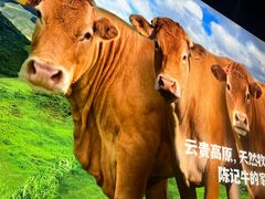 -陈记顺和潮汕鲜牛肉火锅(西门口广场店)