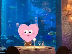 -迪拜帆船酒店海底餐厅