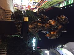 iphone_upload_pic-黄兴南路步行商业街