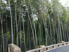 android_upload_pic-穹窿山景区