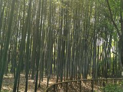 -汇龙潭
