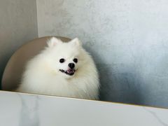 -丫丫蟹庄·苏式园林农家乐·阳澄湖大闸蟹(阳澄湖莲花岛店)