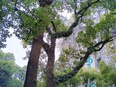 -桂林独秀峰王城景区
