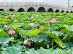 -重元寺香积厨素斋馆