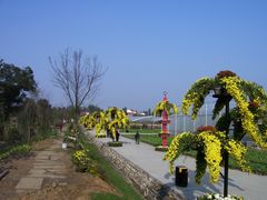 菊花展-三圣花乡旅游区