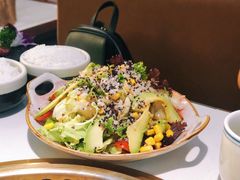 牛油果时蔬沙拉-千寻山野烤肉(中关村店)