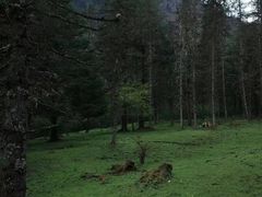 -硗碛藏寨·神木垒景区