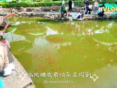 -南昌之星游乐场