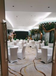 -上海中港汇铂尔曼大酒店·宝宝宴生日宴