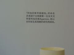-真光大楼