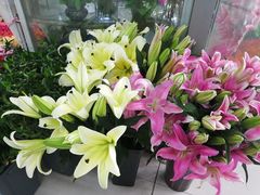 -无锡文化工艺品市场(槐古路店)