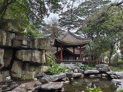 -顺峰山公园