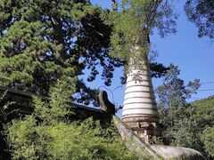 -潭柘寺景区