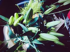 -双季花艺园艺市场(浦东店)