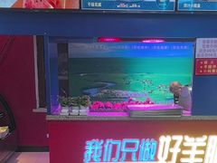-三毛烤羊腿(乐园路总店)