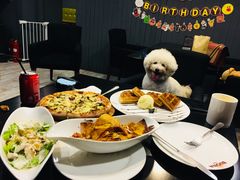 -百好乐宠物友好餐厅(朝外大街店)