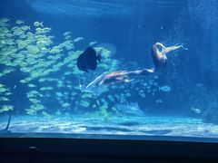 -常州海昌海洋探索馆