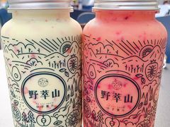 -野萃山·潮汕厚果汁(十亩地店)