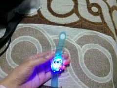 -青山公园萤火虫科普展