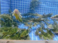 -香山湖渔家大院