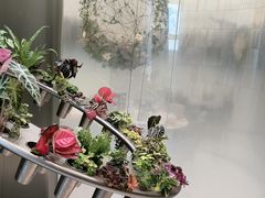 -枕水江南(铁西万象汇店)