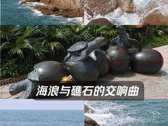 -广东惠东海龟国家级自然保护区