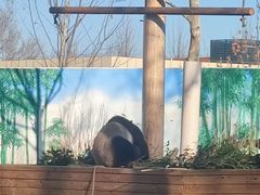 -秦皇岛野生动物园
