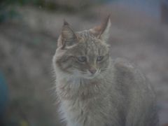 -青藏高原野生动物园