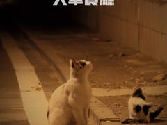 -建大火车餐厅7号.麻辣烫
