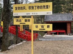 -洛阳白云山景区