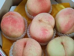 -南汇水蜜桃采摘(大团店)