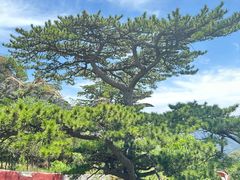 -圣莲山风景区