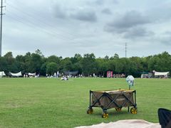 -上海海湾国家森林公园