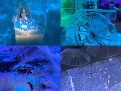 -海合安成都极地海洋公园