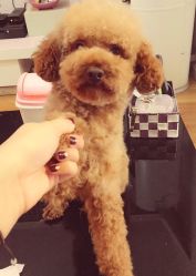 -HG美发设计沙龙