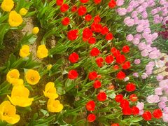 -石家庄市植物园