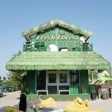 不用出国！！在苏州就能get同款海岛度假氛围