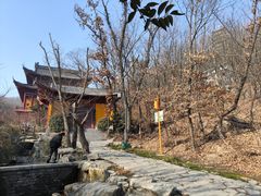-大伊山景区